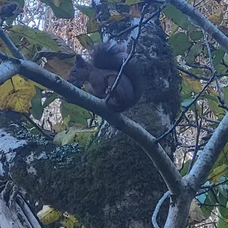 El Gorgolitu Apartment Las Arenas